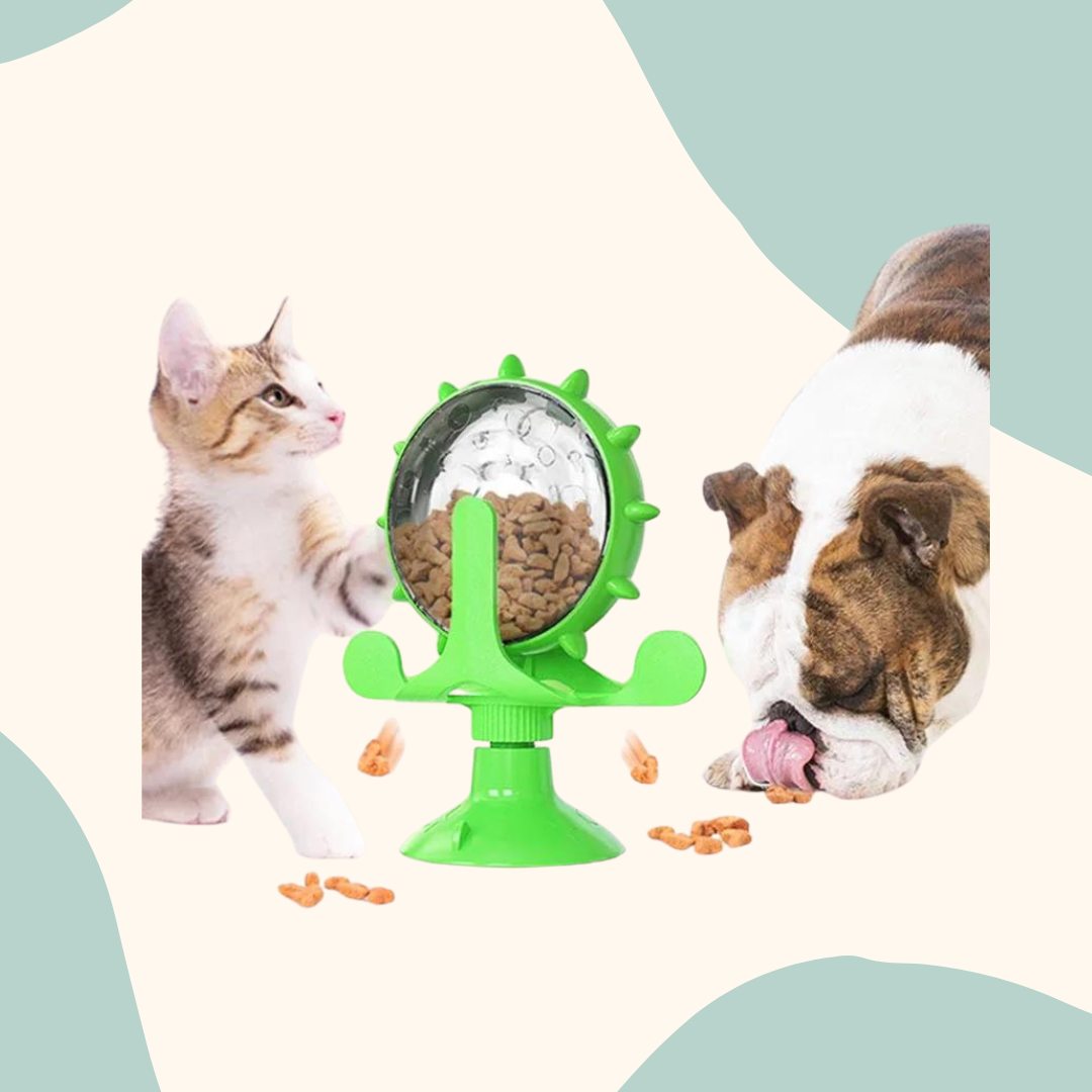 Puzzle Toy Interactive Cat & Dog